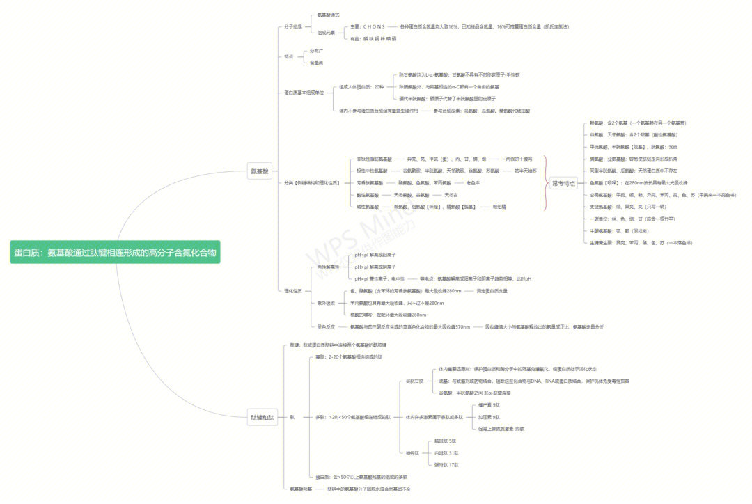 超详细生化思维导图77学习方法第一二章