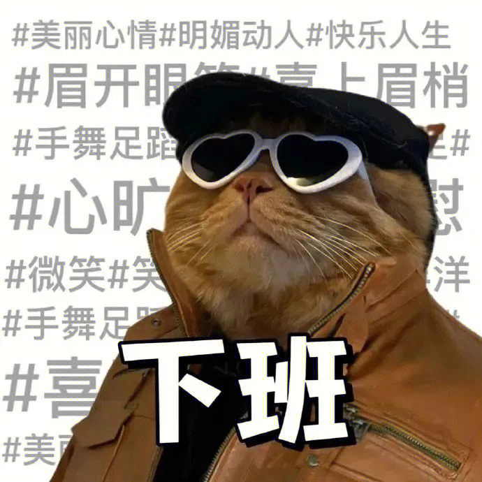 猫猫表情想下班