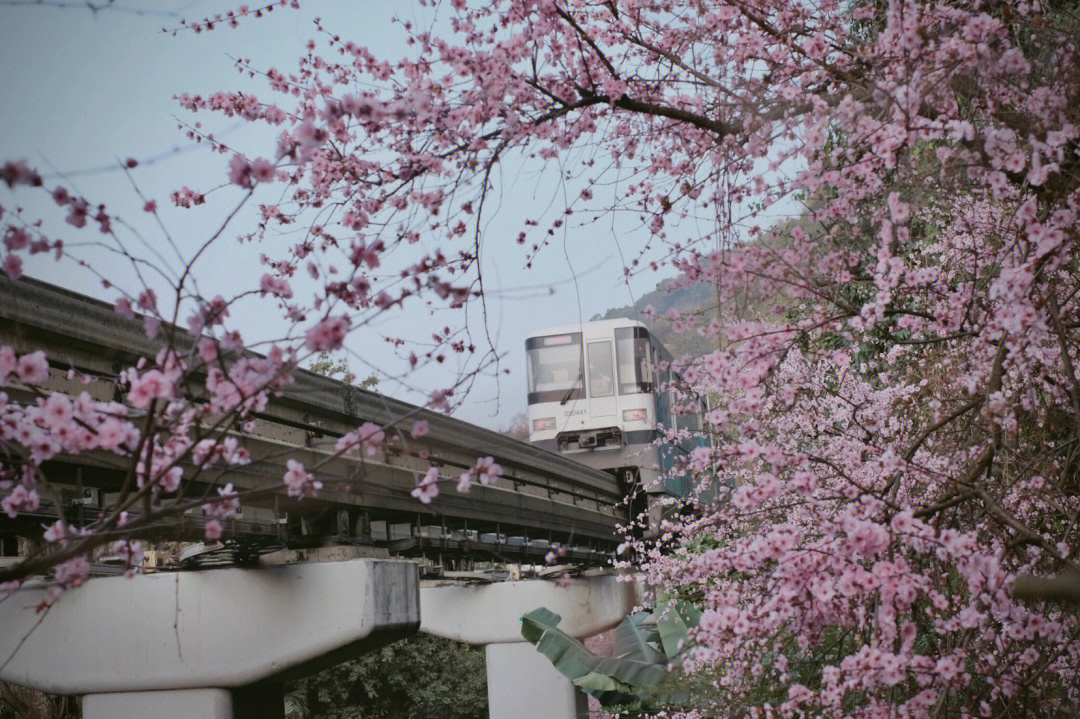 春日山城图片