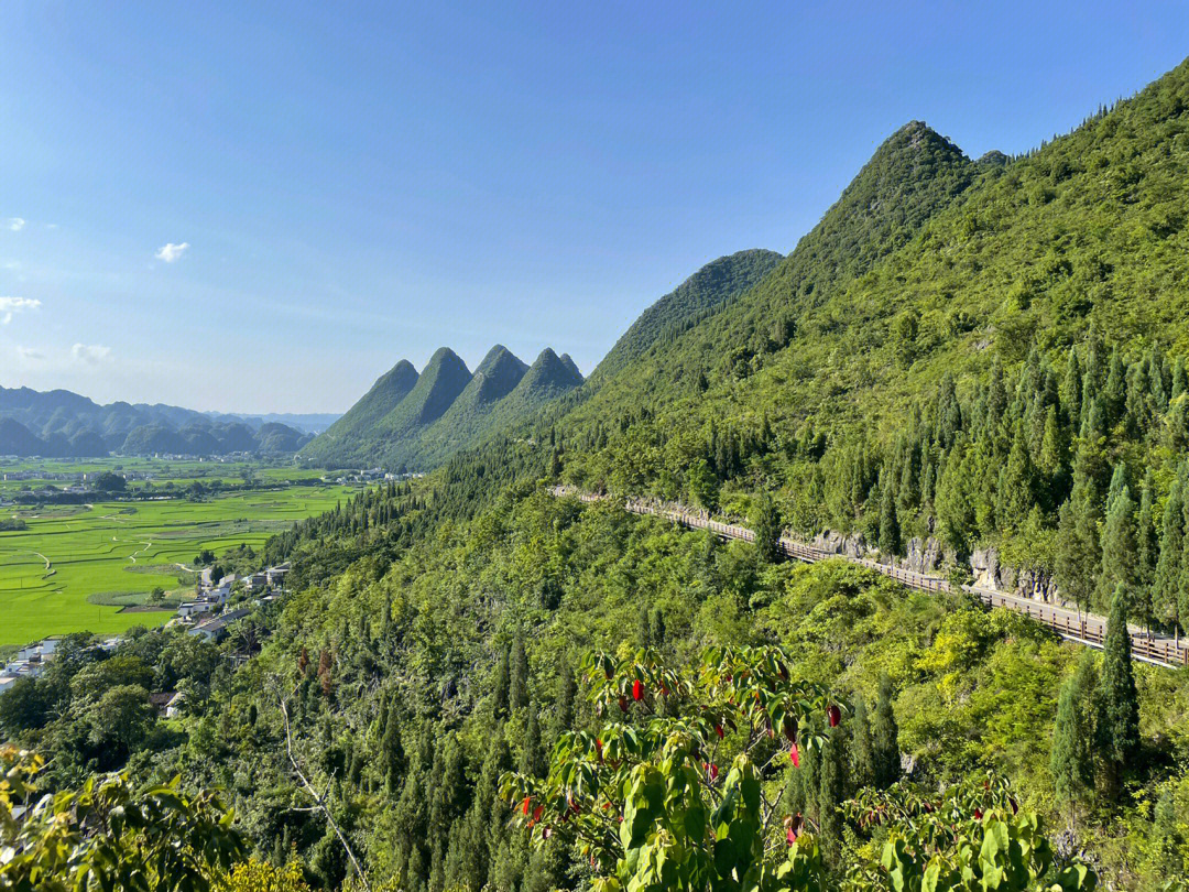 万峰林的景点基本情况图片