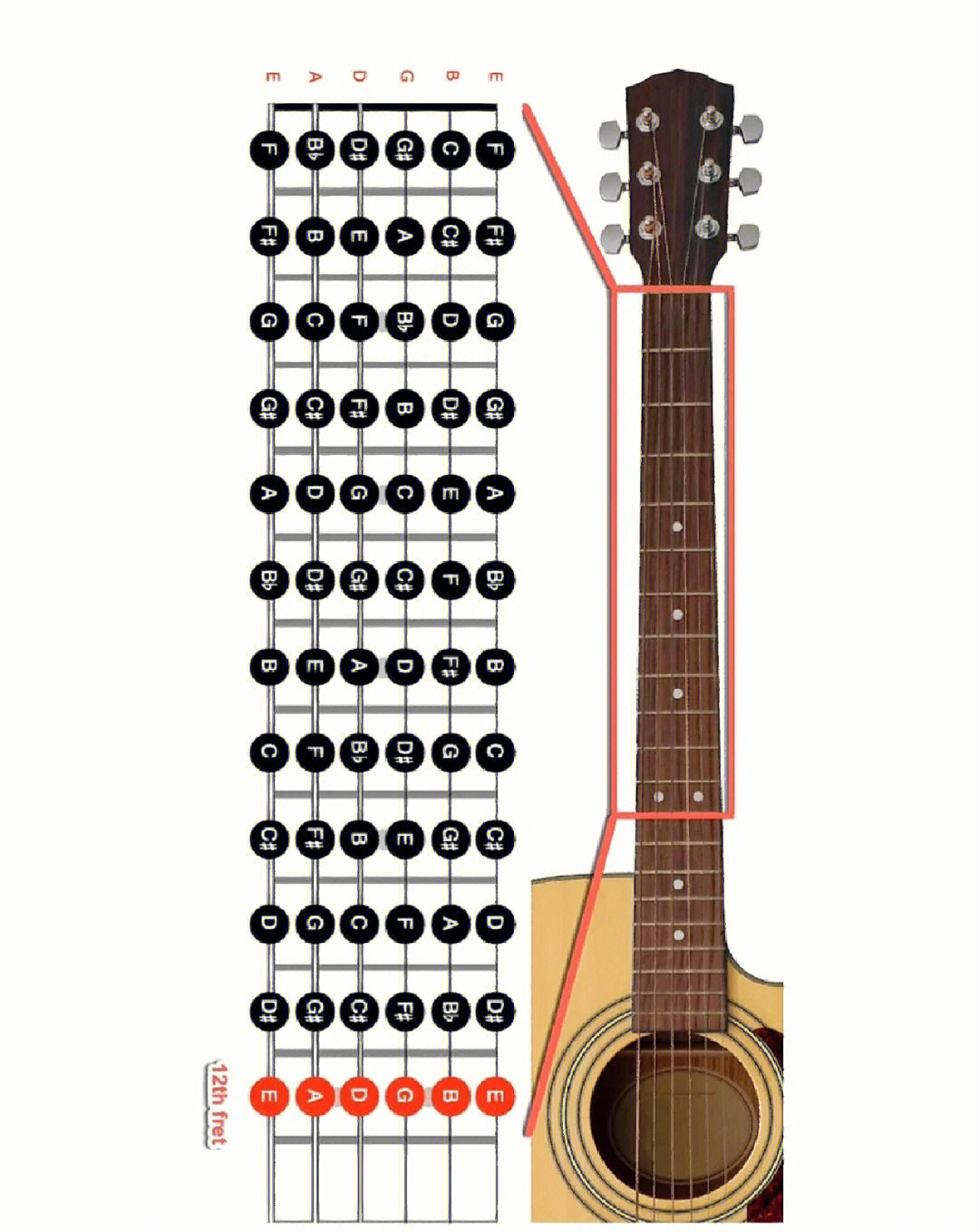认识吉他 结构图图片