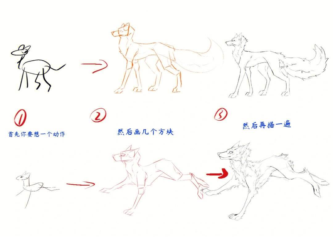 兽设猛风教成②丨狼全身画法