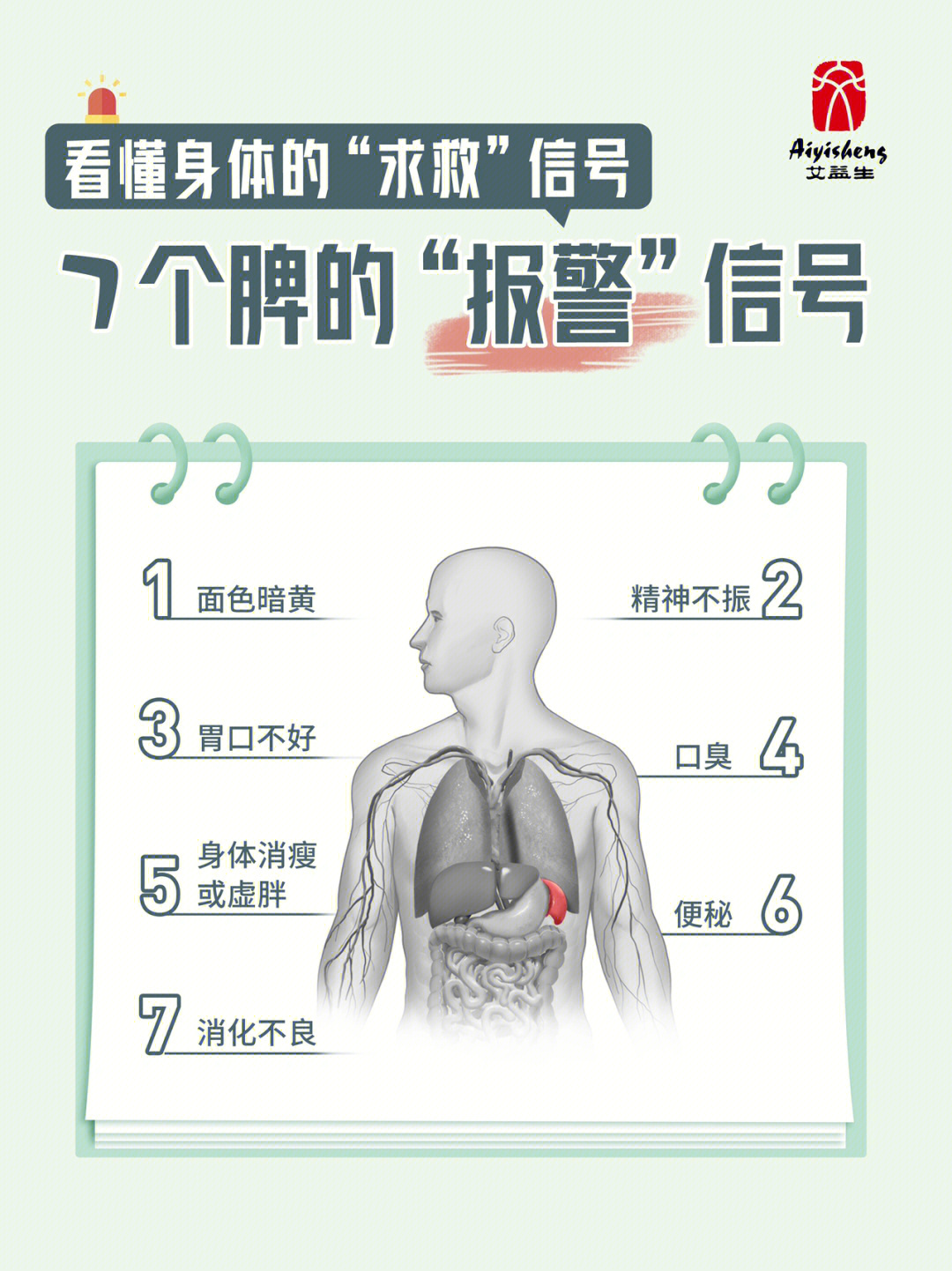 脾痛要紧吗图片