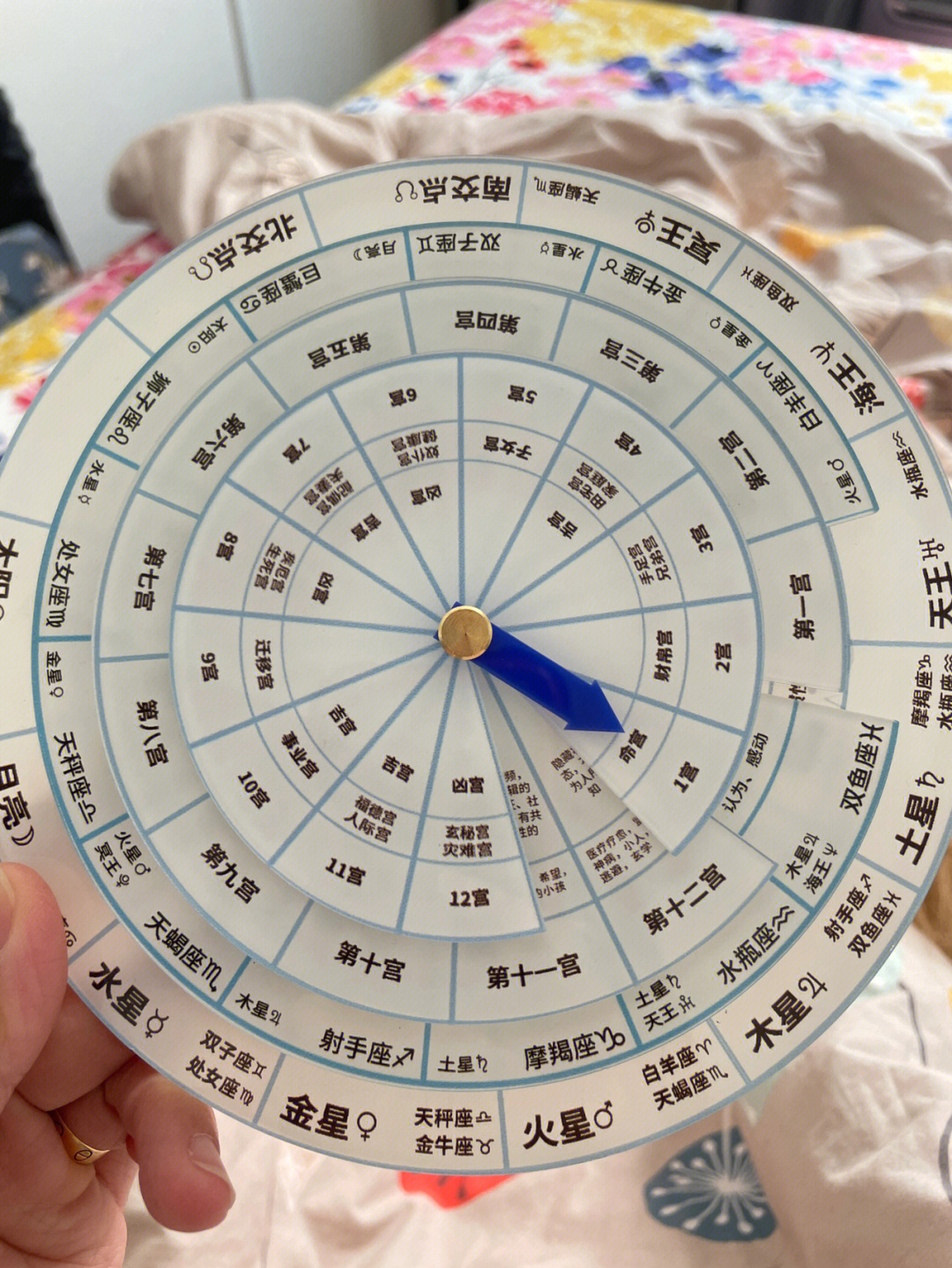 金星八宫图片