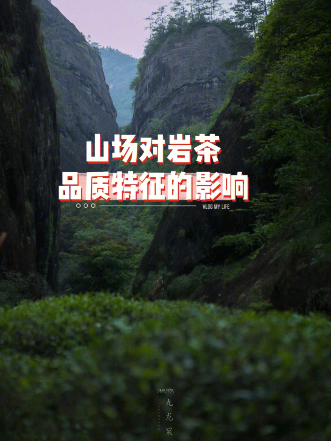 武夷山的特点图片