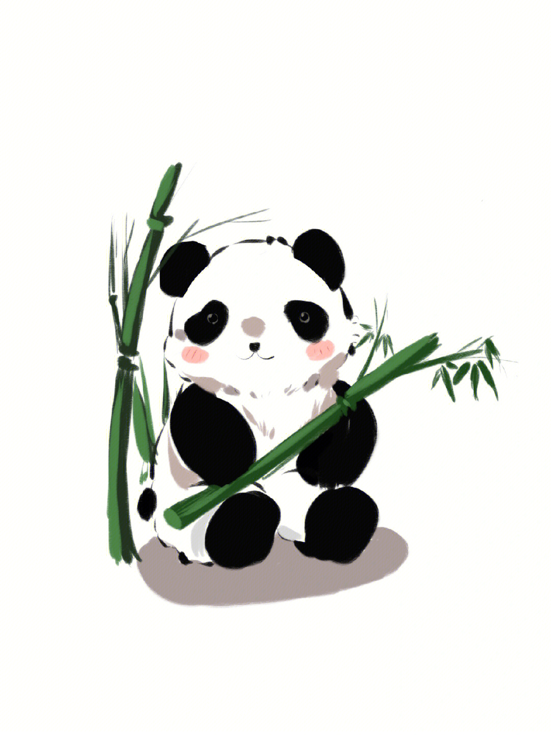 熊猫吃竹子画画图片