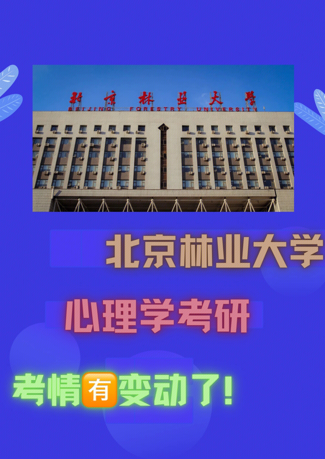 北京林业大学欧梅图片