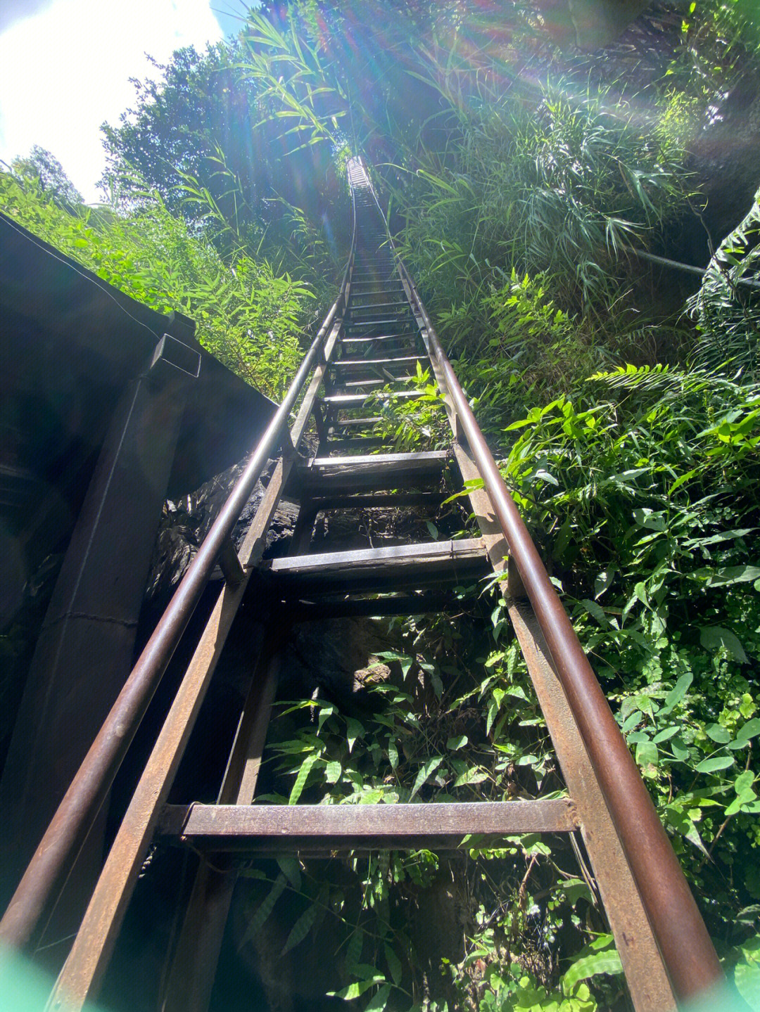 云南虎跳峡天梯图片