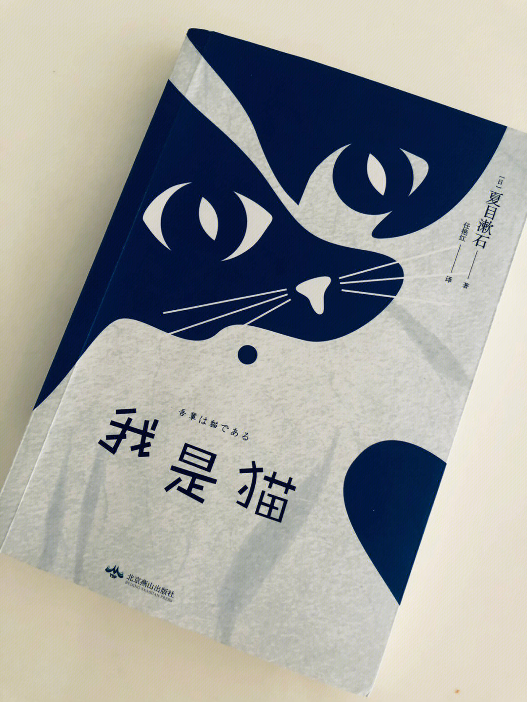 鲁迅高度评价的日本国民大师作品我是猫