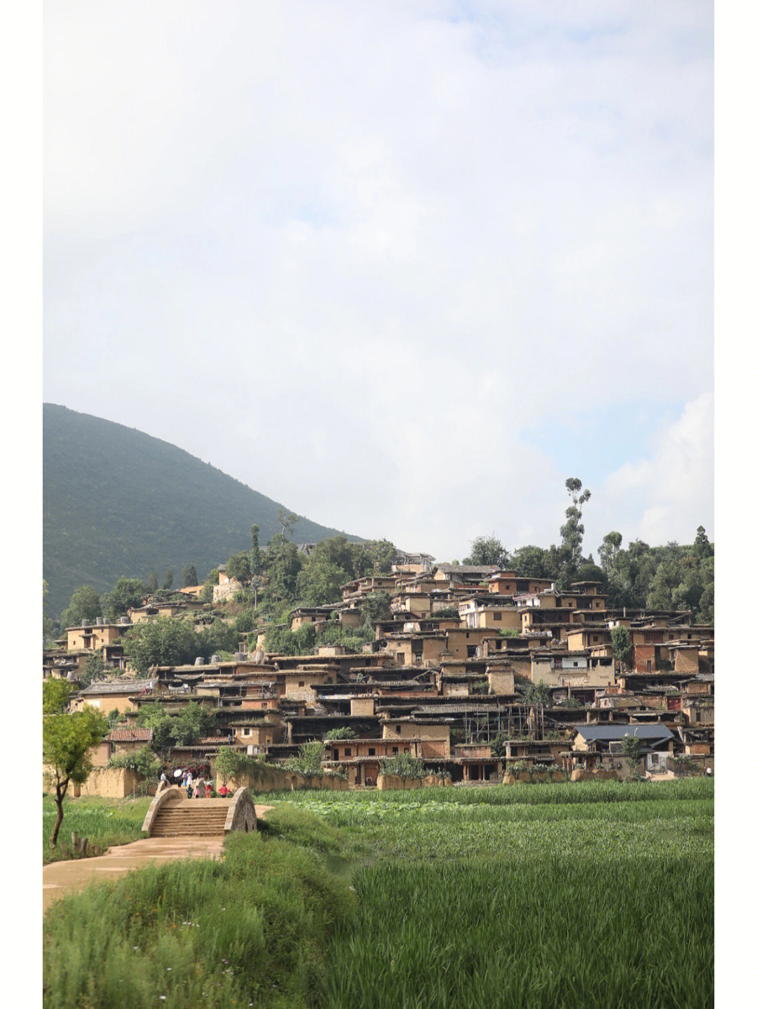勐仑镇城子村图片