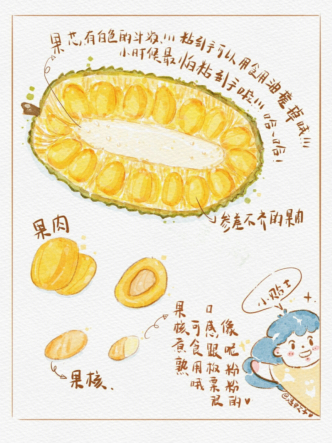 插画日记请食用菠萝蜜