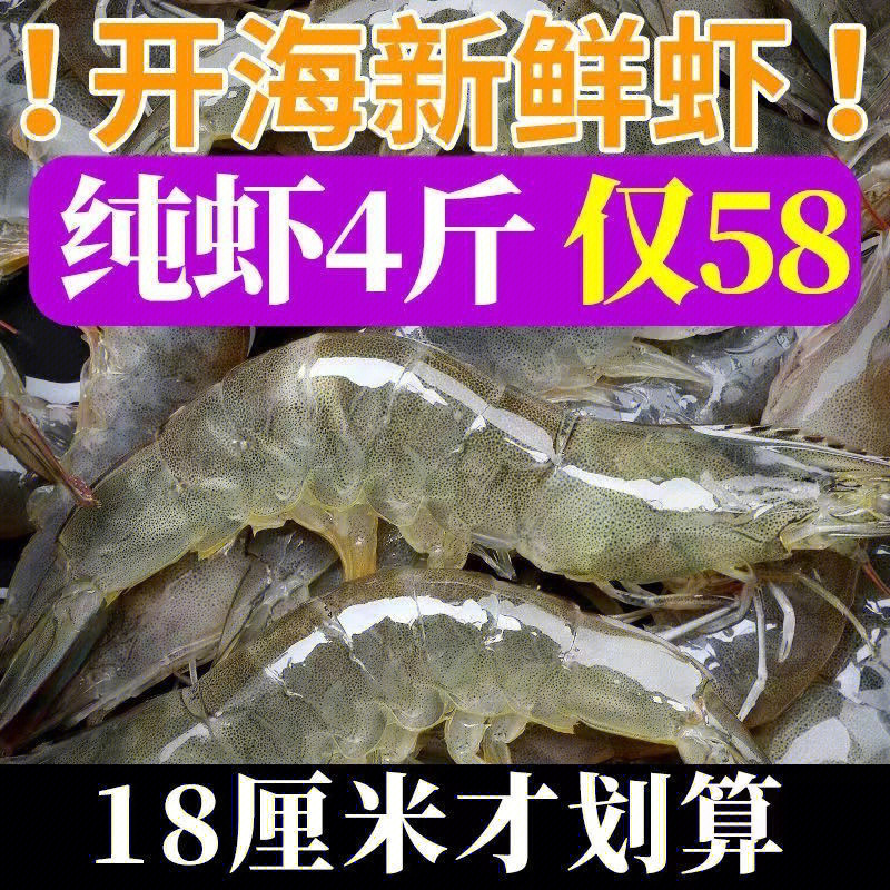 基围虾多少钱一斤图片