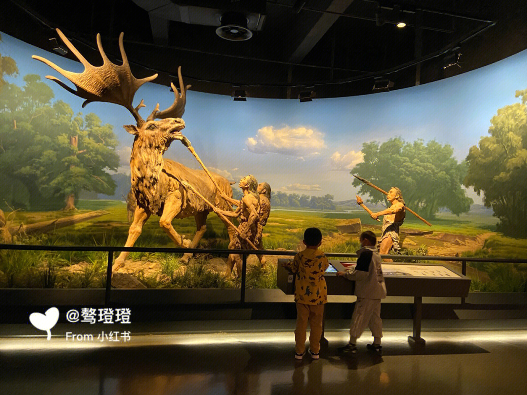 内蒙古自然博物馆地址图片