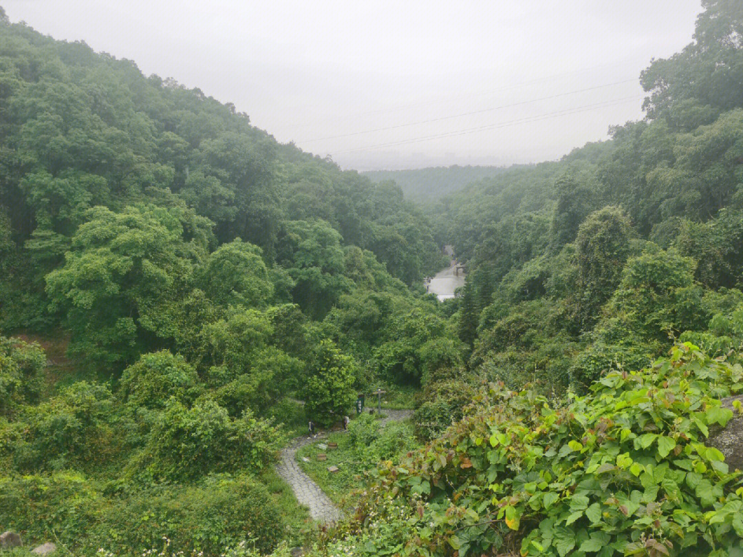 厦门天竺山简介图片