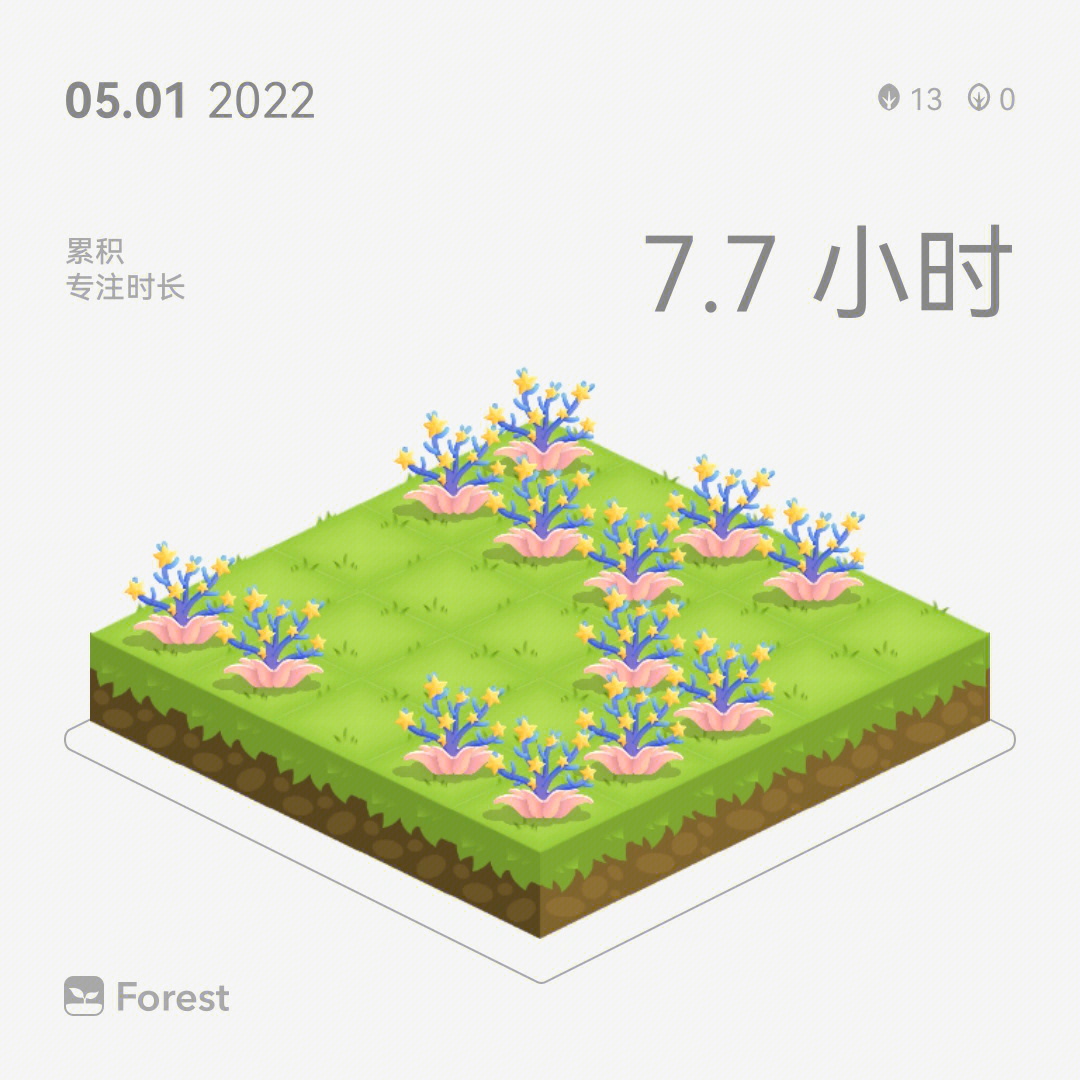 forest怎么读图片