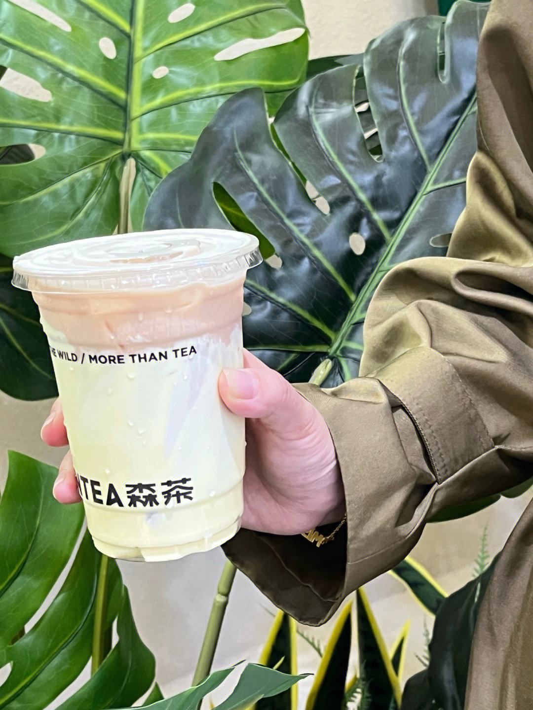 森茶sentea超爱牛油果05系列