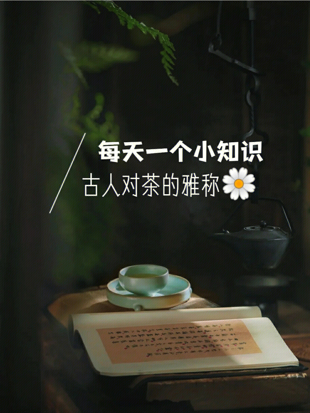 精彩茶言图片