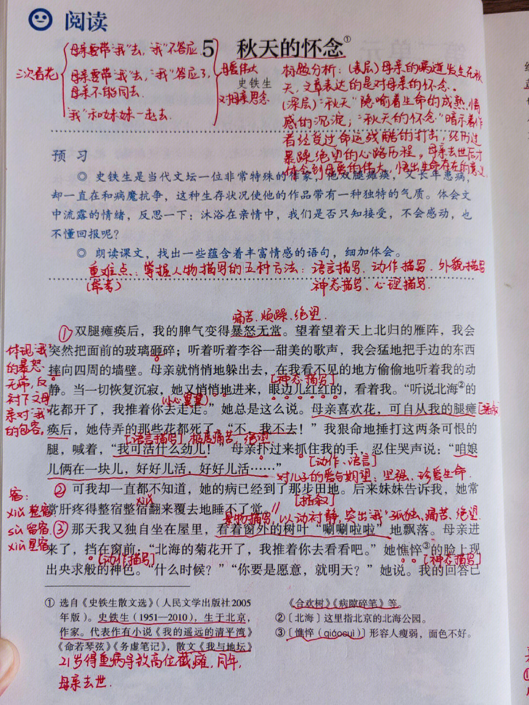 秋天的怀念板书图片