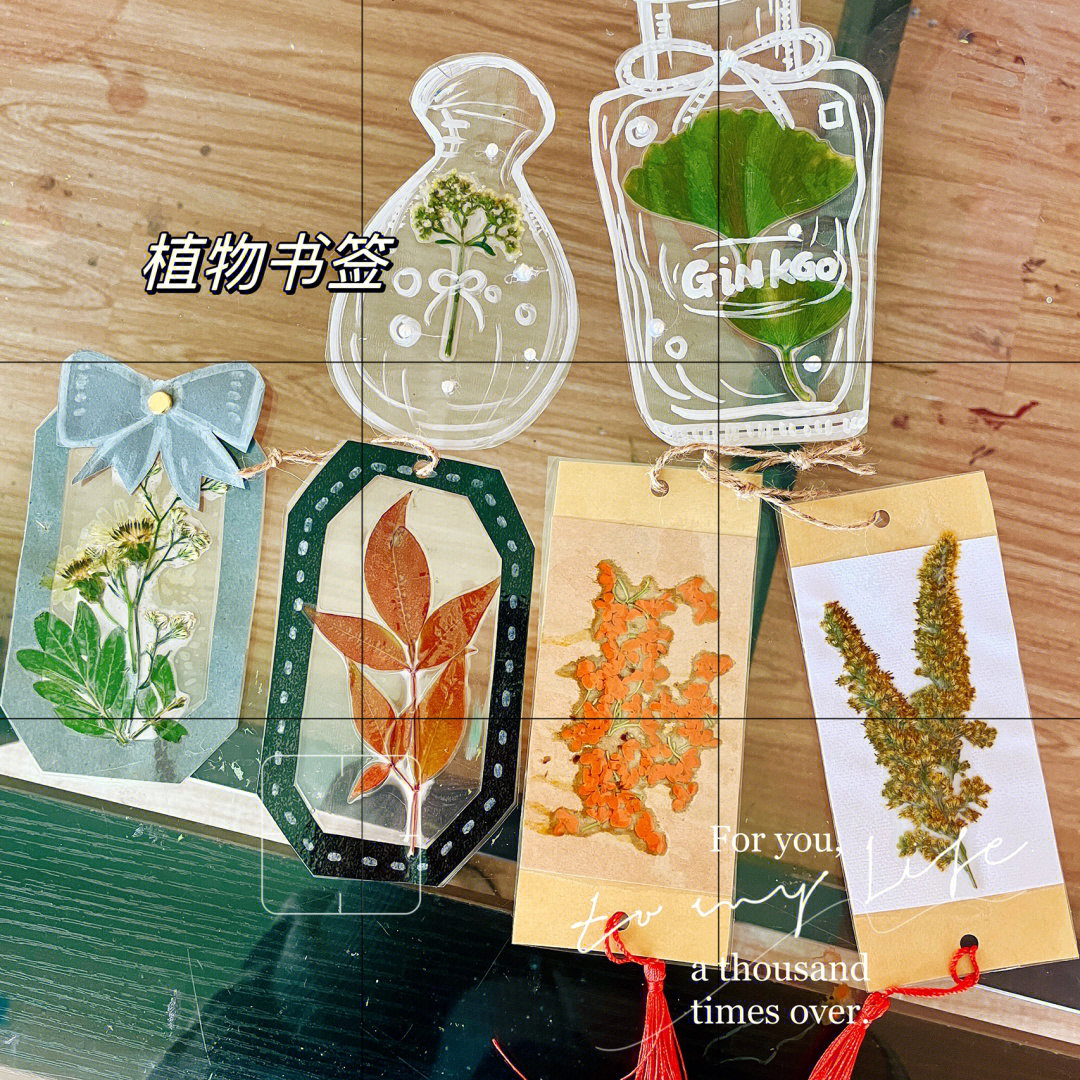 植物书签制作方法图片