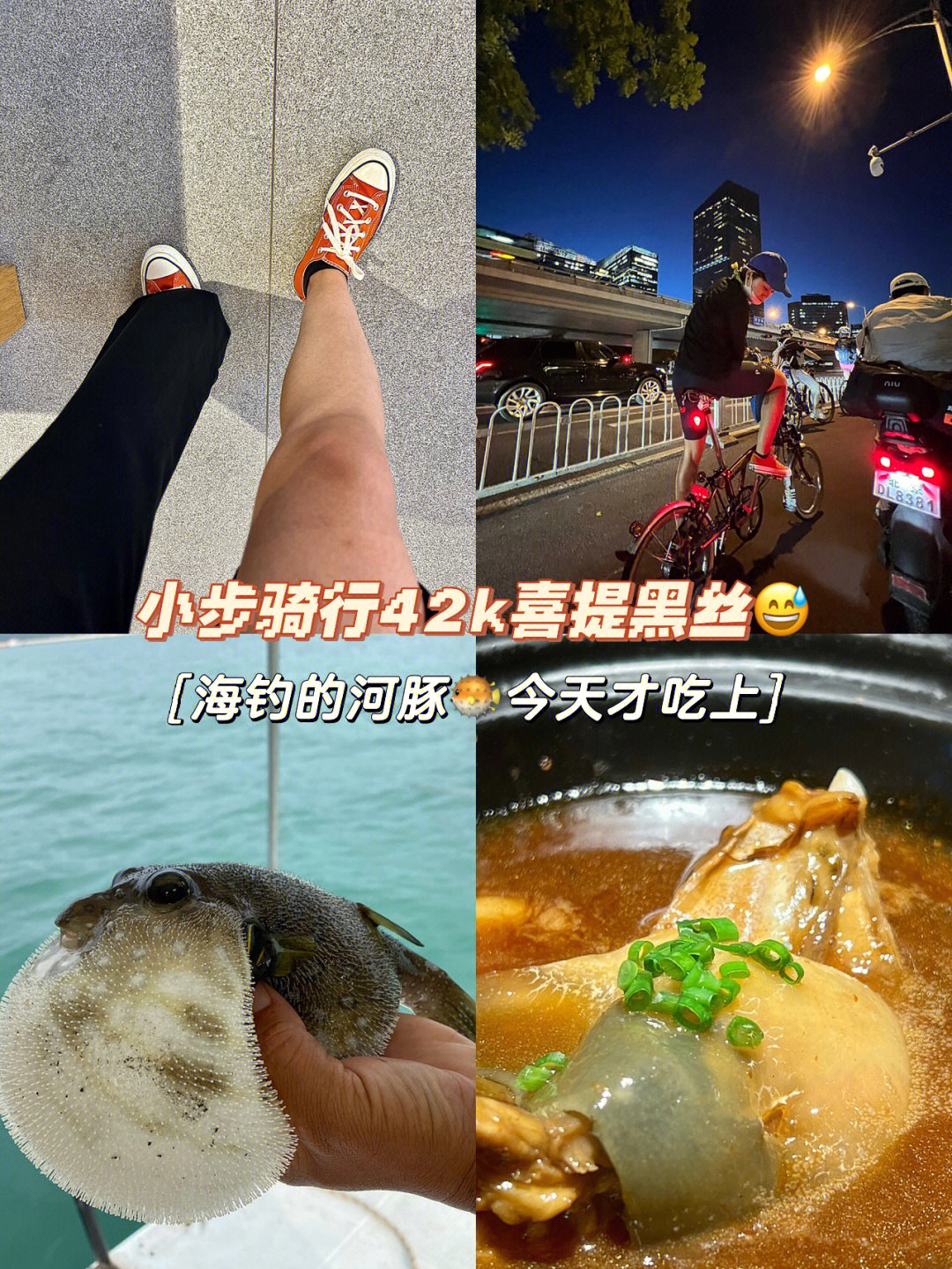 杀河豚步骤图解图片