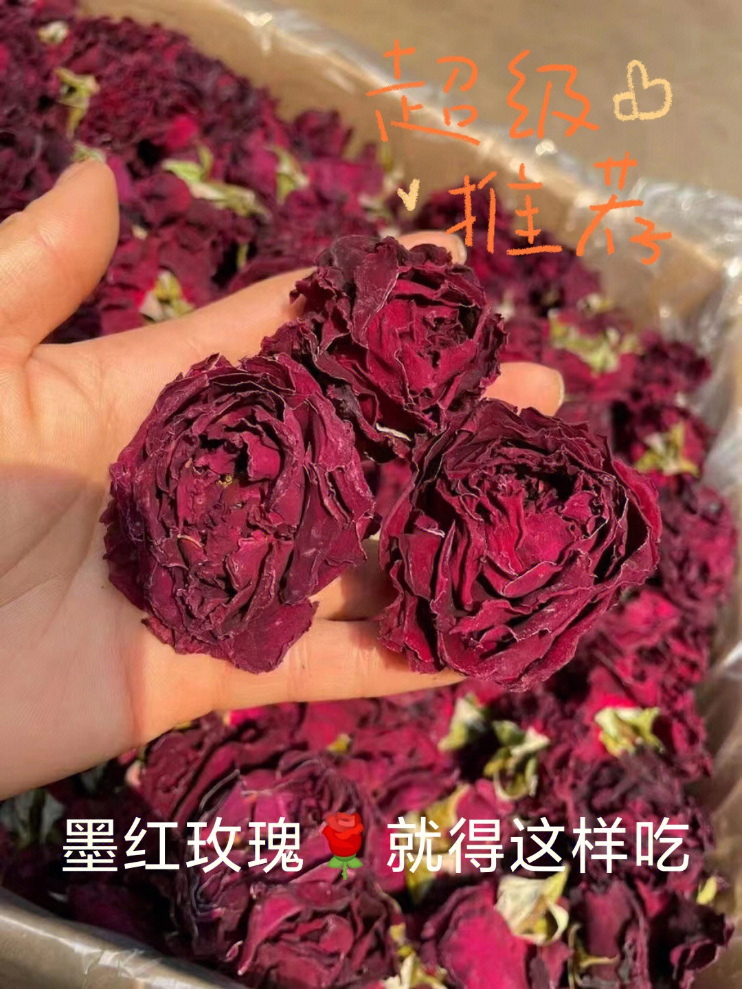 云南墨红玫瑰副作用图片