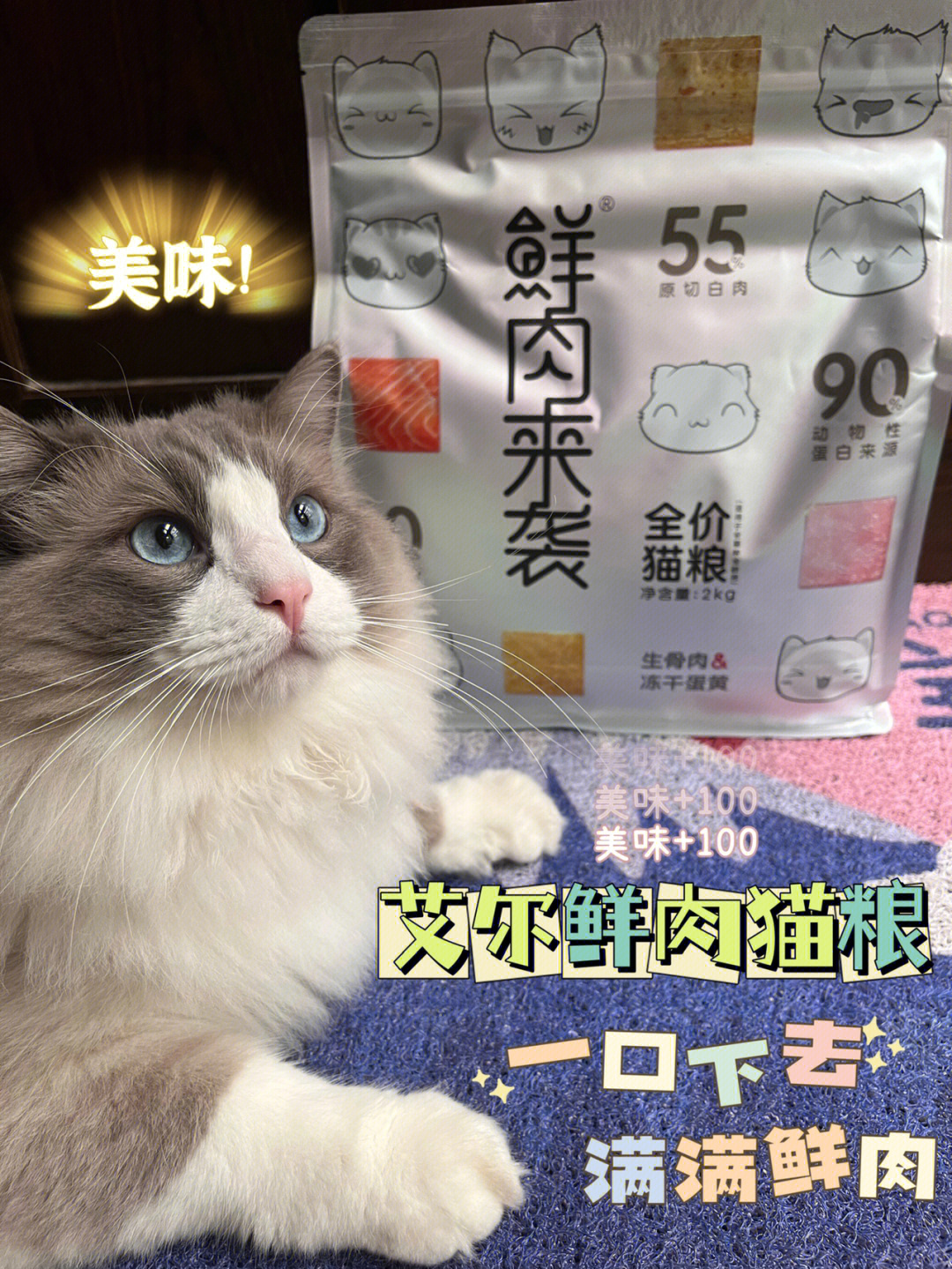 艾尔猫粮产地图片