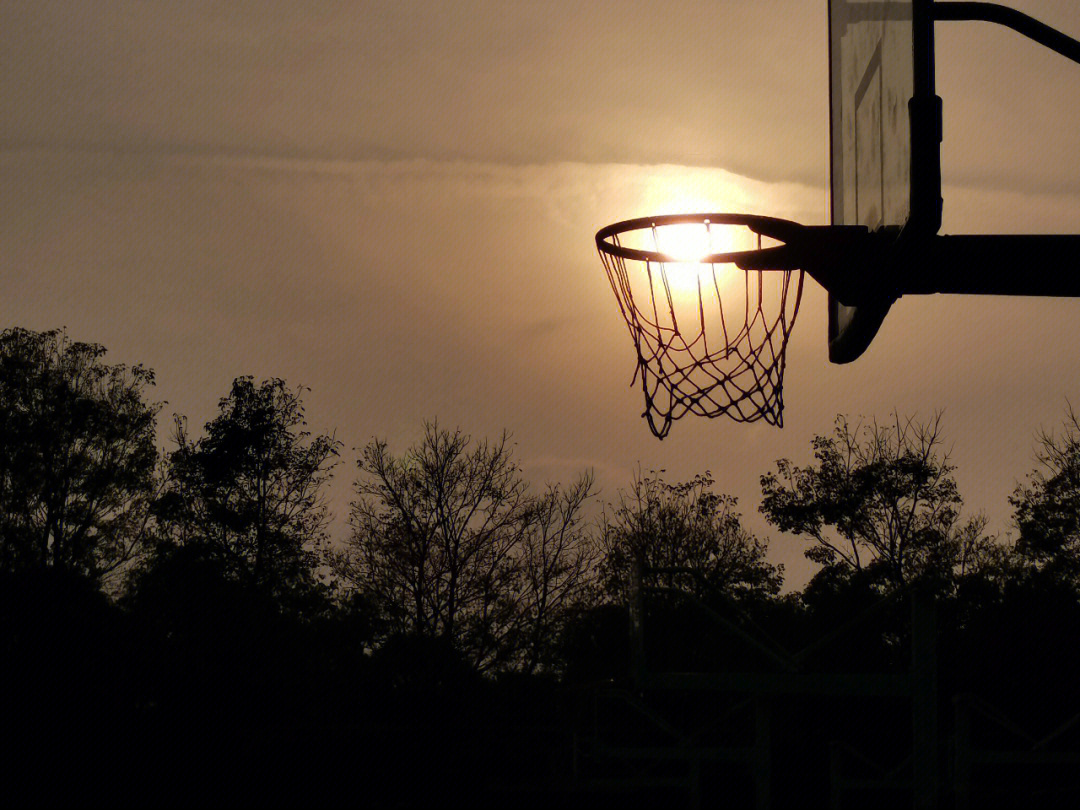 篮球夕阳图片 背景图片