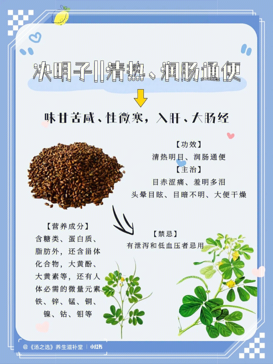 决明子茶