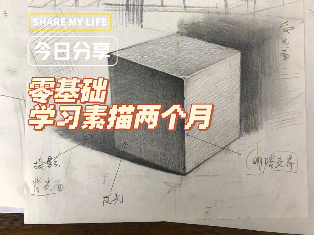 先学素描还是先学线描图片