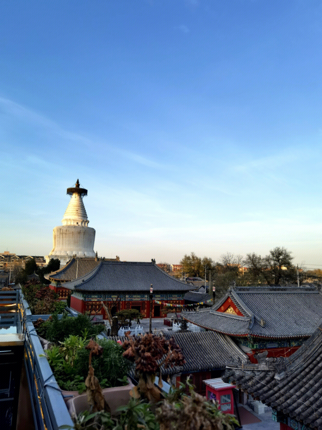 北京初冬的白塔寺