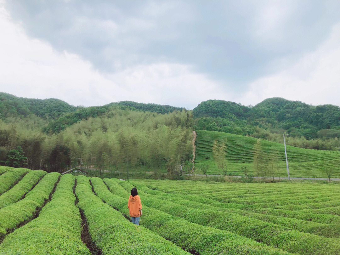 绍兴云松村