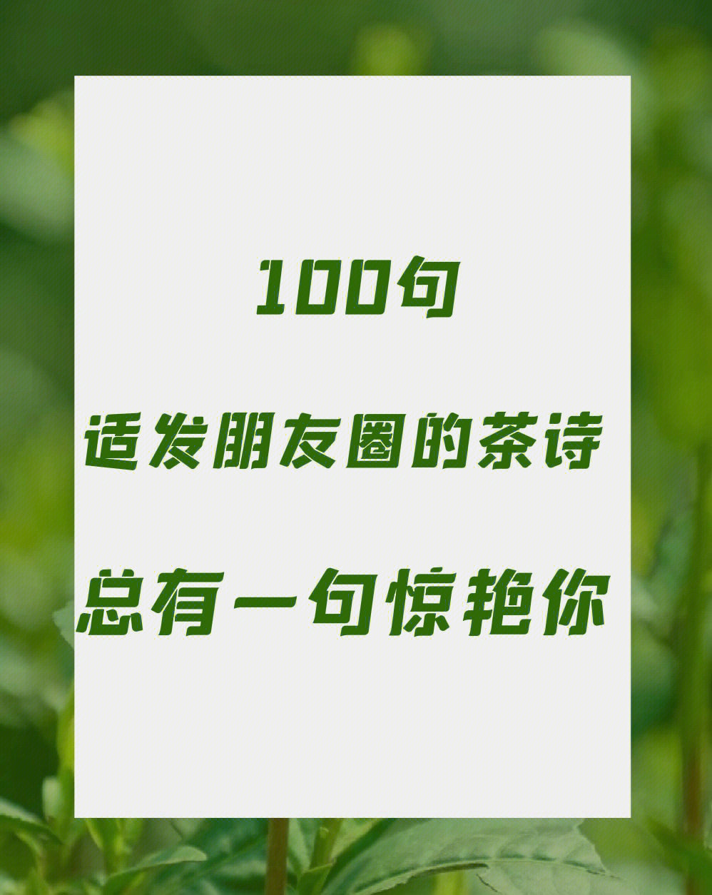 茶文案100句适合发朋友圈的茶诗词一