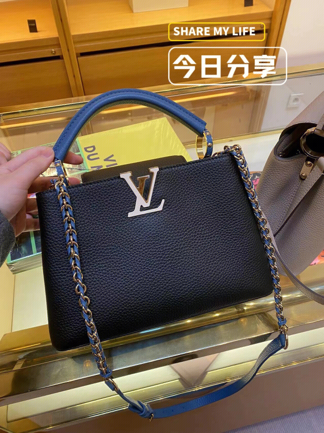 lvcapucine中号