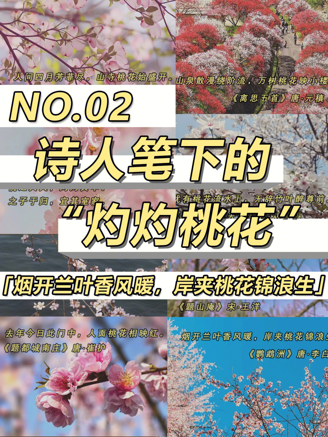 人间四月芳菲尽,山寺桃花始盛开