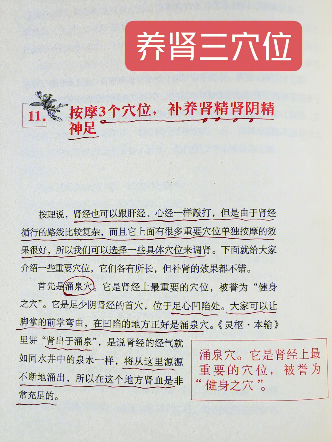 9697补肾三大穴位:166涌泉穴266太溪穴366肾俞穴98花三