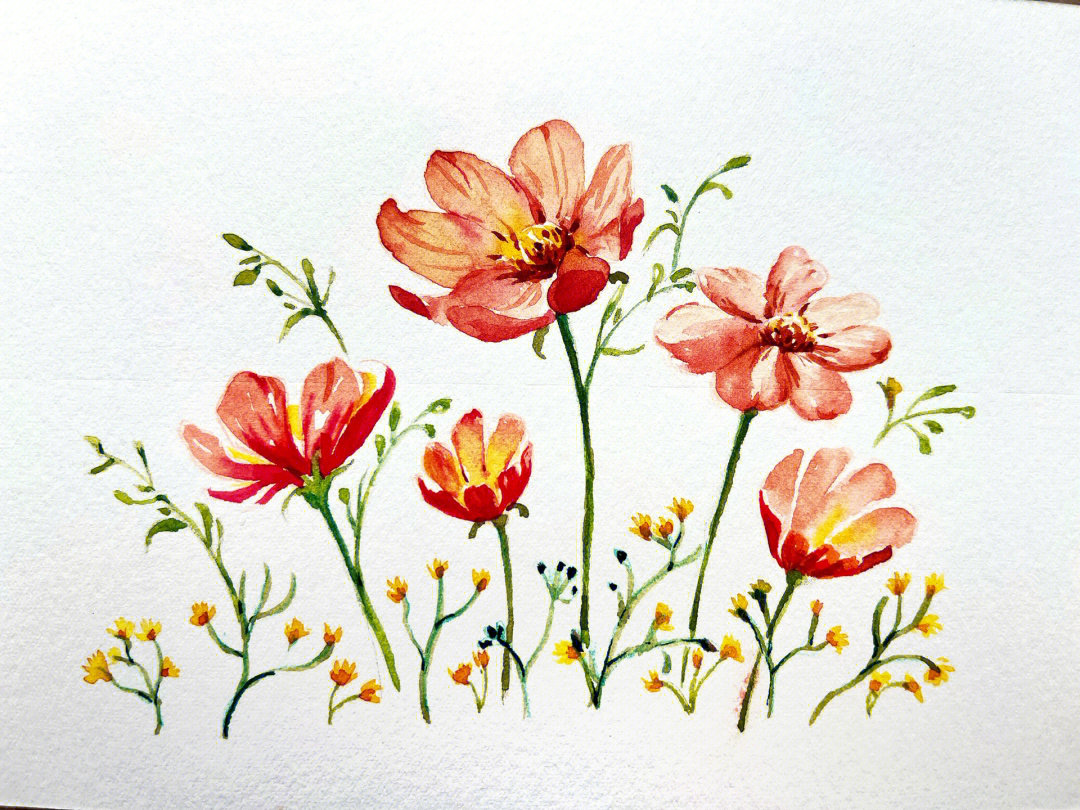 水溶性彩铅画樱花教程图片