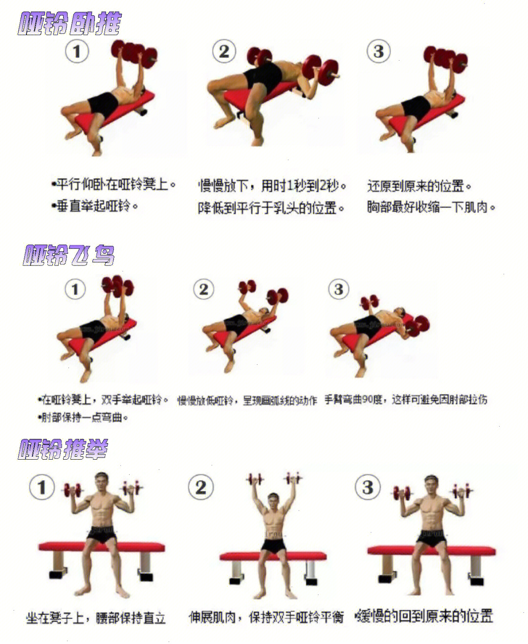 胸肌训练10套最佳动作图片