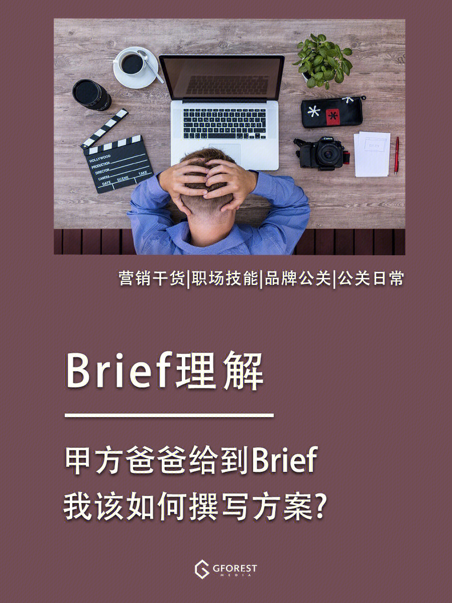 甲方brief模板图片