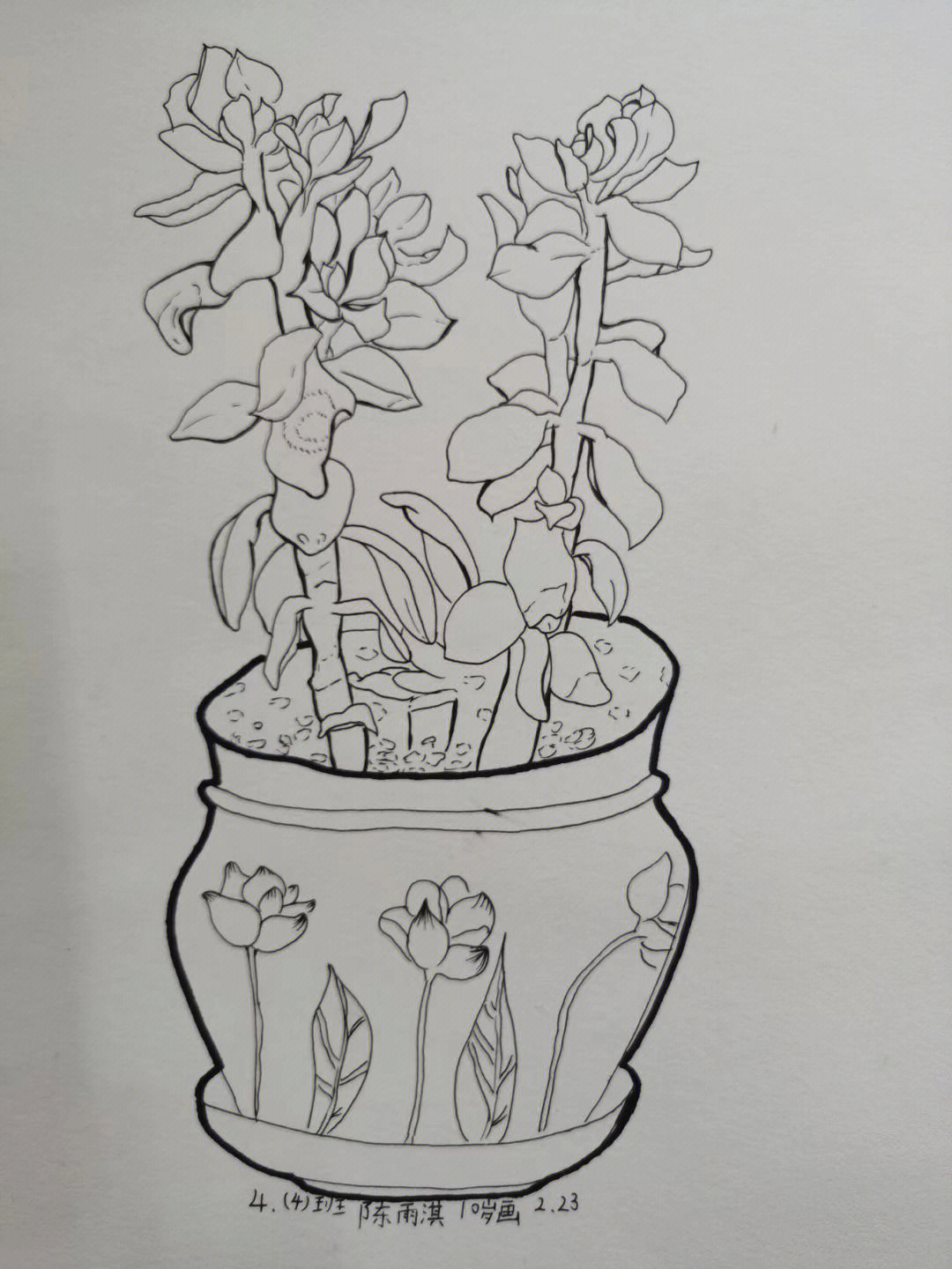 植物写生 四年级简单图片