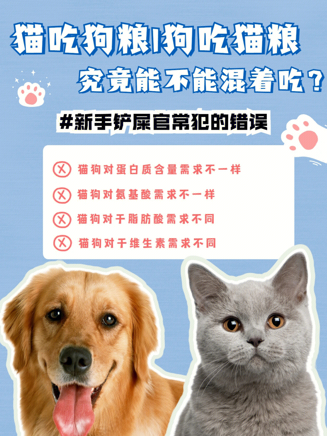 猫吃狗粮狗吃猫粮对蹭饭行为说74