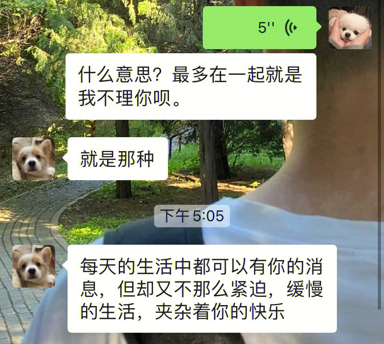 小黄还是一如既往的会说话