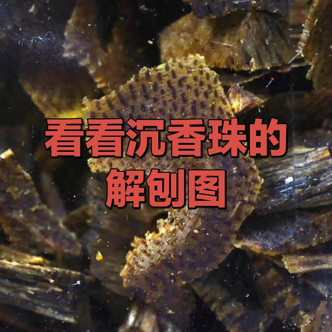 沉香油脂线示意图图片