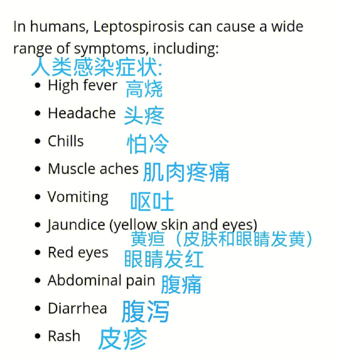 钩端螺旋体革兰图片