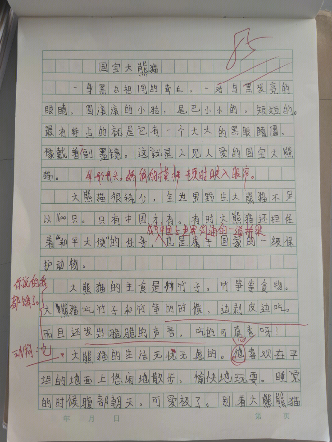 国宝大熊猫作文350字图片