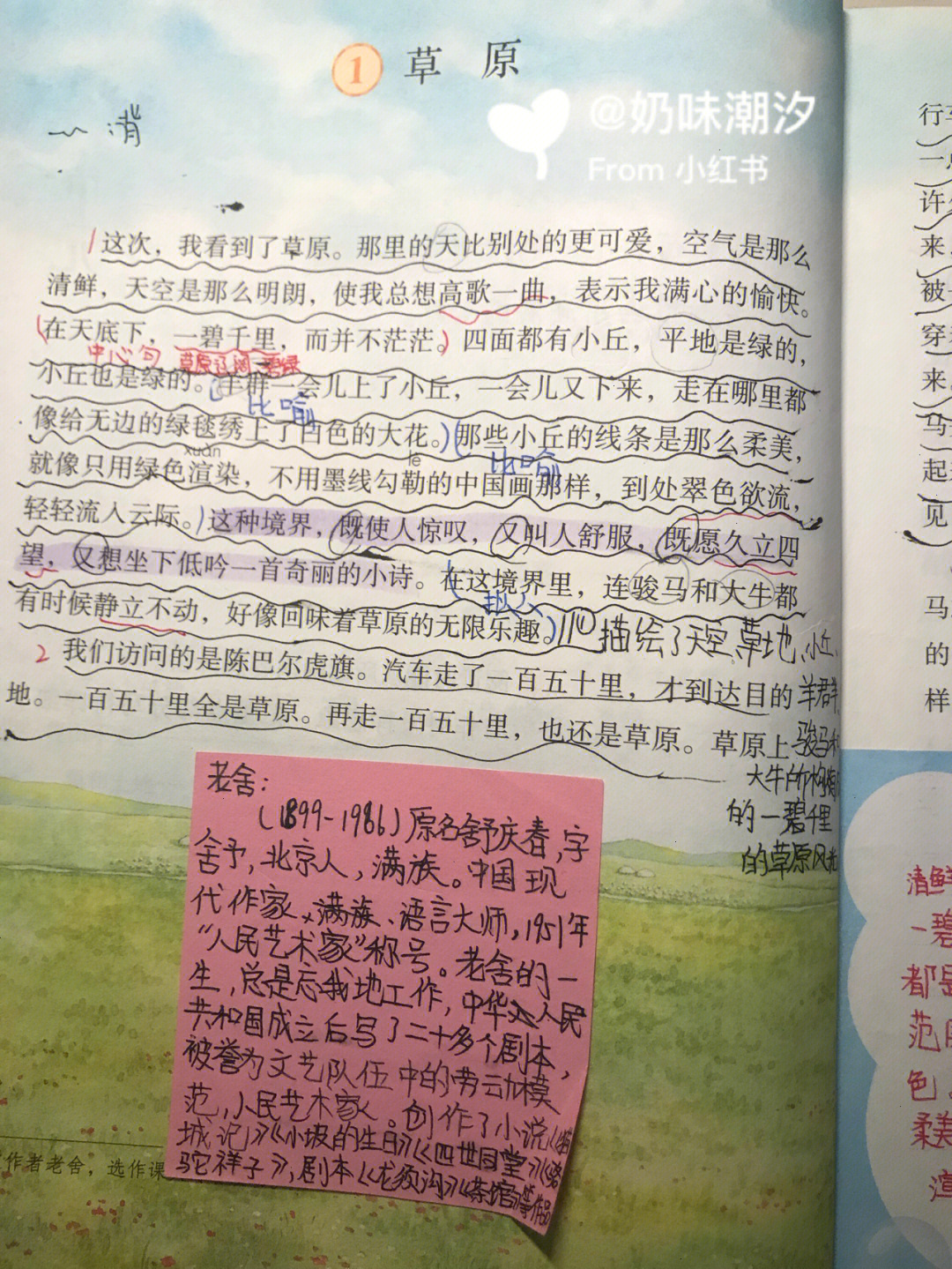 《草原》课文笔记图片图片