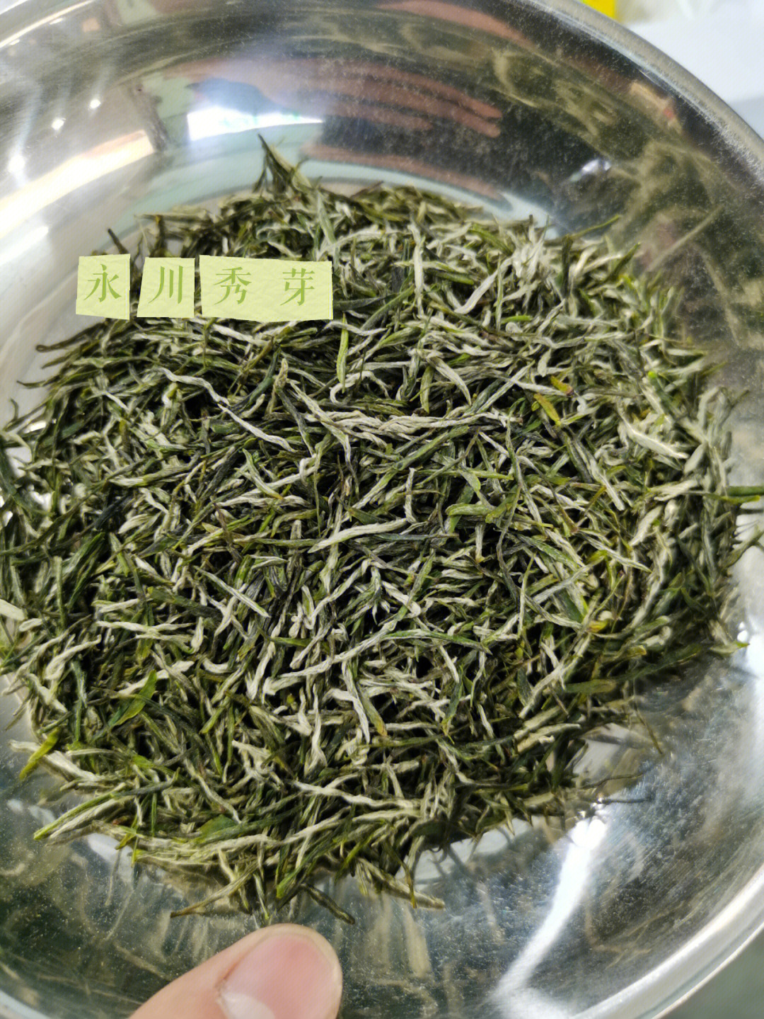 重庆特产永川秀芽明前茶绿茶