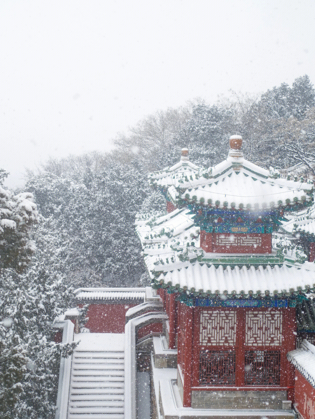 北京的冬天郁冬图片