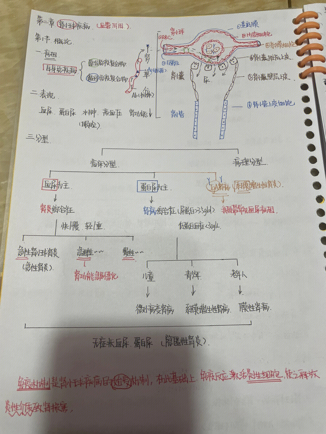 肾小球疾病肾炎肾病综合征