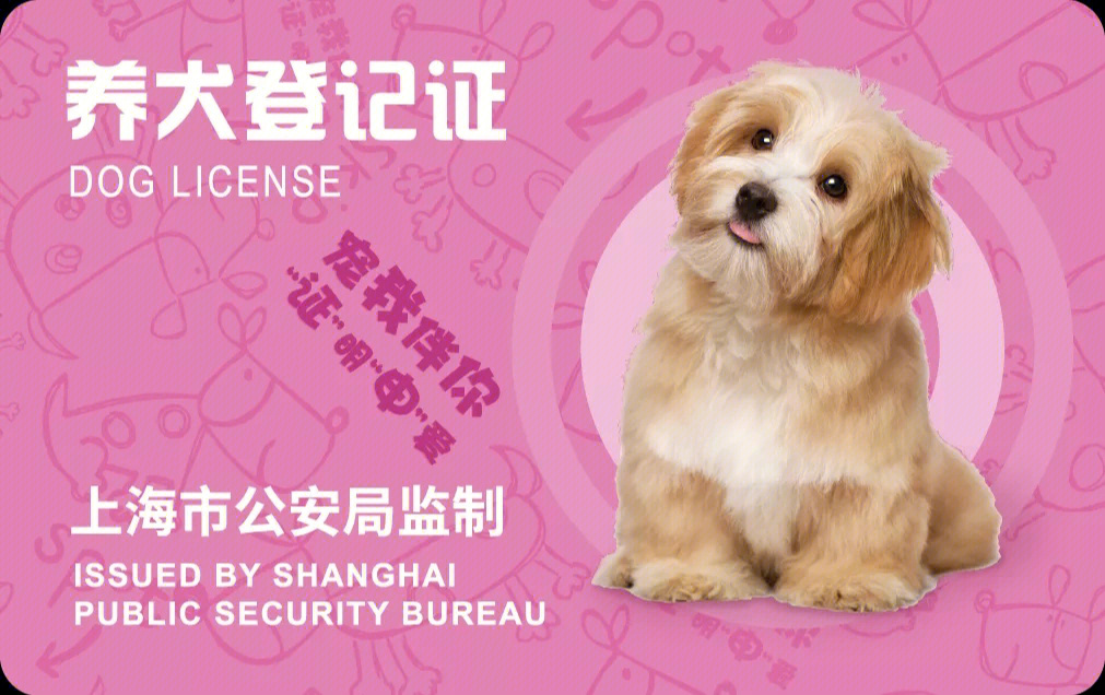 上海狗证图片图片
