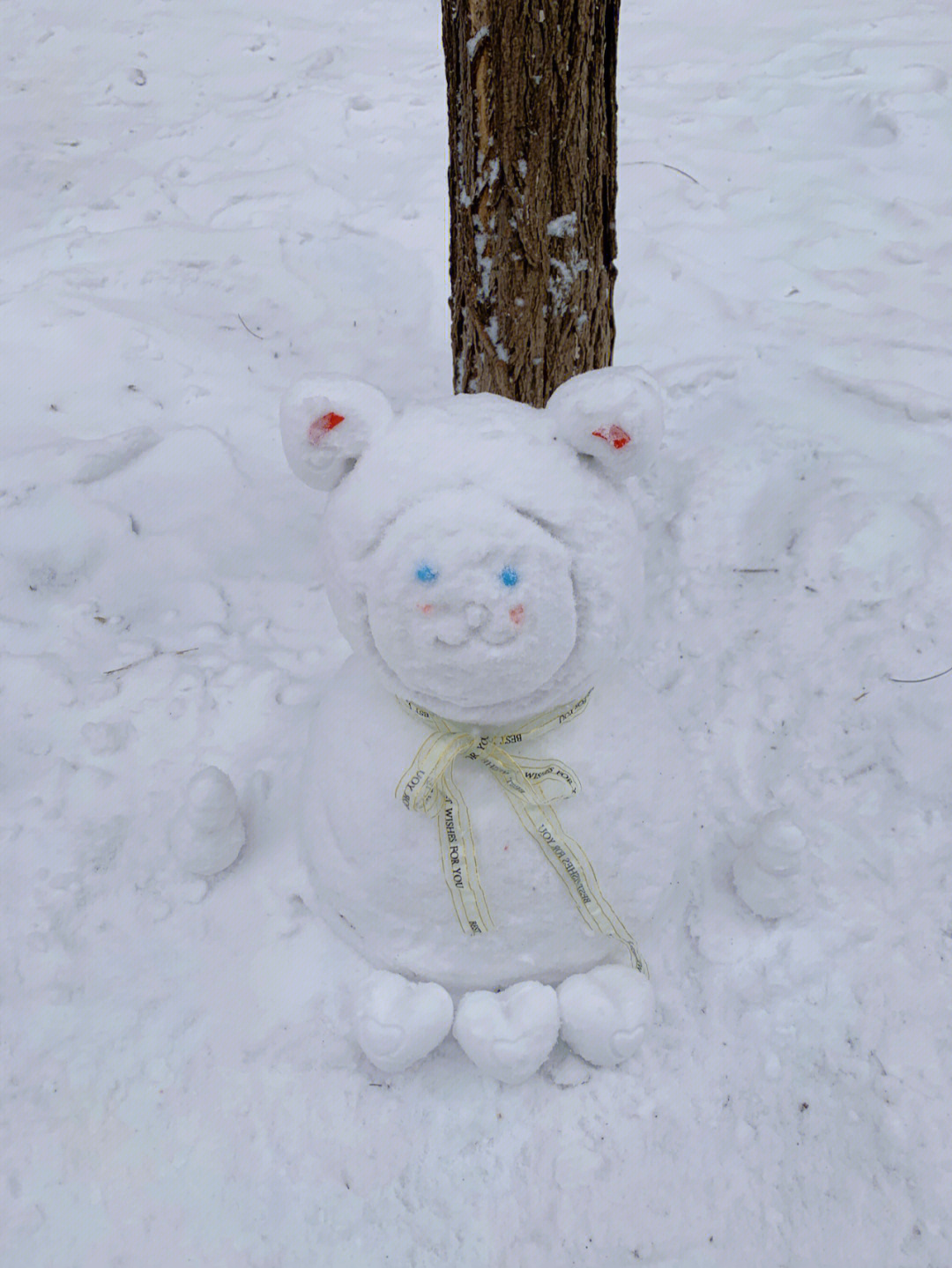 是谁家的雪人一个人坐在树下啊76天津下雪